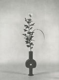 Botanical Balance Sessions