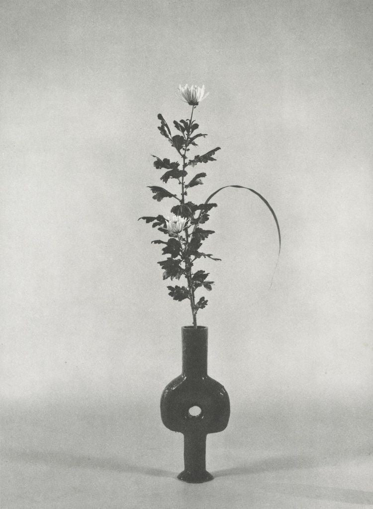 Botanical Balance Sessions
